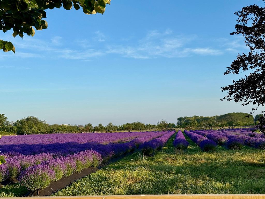 24–48 Hours in the Hamptons: The Ultimate Weekend Guide&nbsp;(2025)